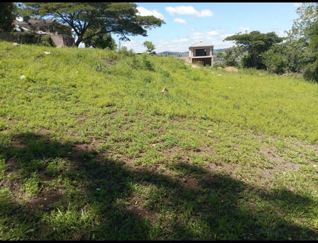 LAND FOR SALE IN NAGINA